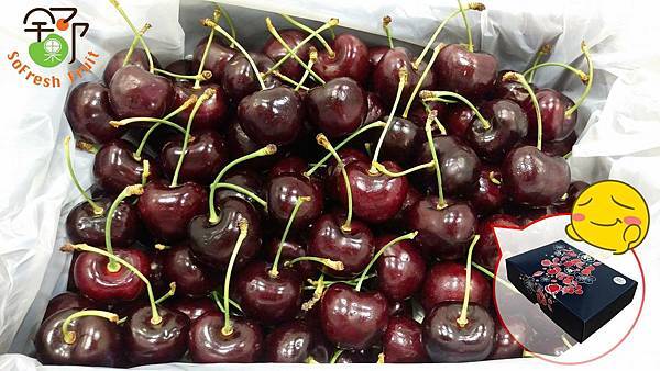 舒果水果批發_櫻桃箱