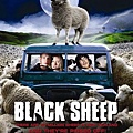 blacksheep-poster.JPG