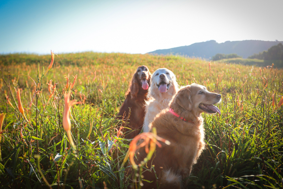 3M7A7016.jpg 3M7A7016.jpg