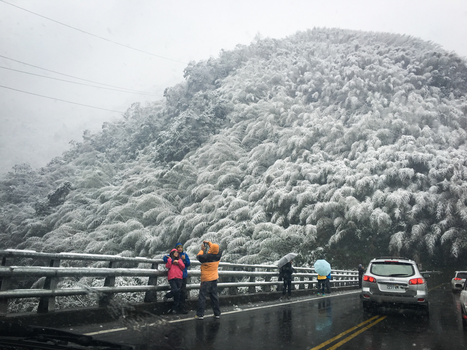 台中 與小狗們的 11 雪地露營初體驗 福壽山農場 上 是誰在調皮 痞客邦
