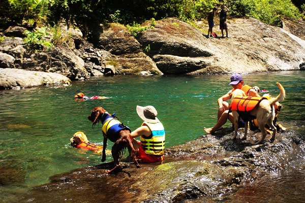 麥巴來溪之雙龍瀑布 舞動生命 隨意窩xuite日誌