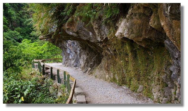 花蓮砂卡礑步道 