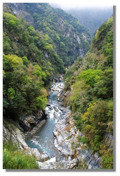 花蓮中橫白楊步道一景