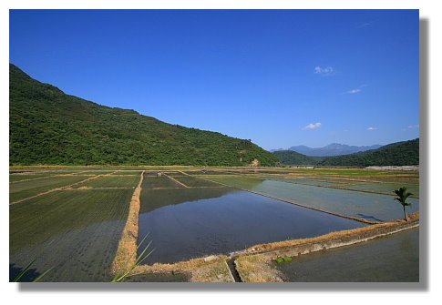 花蓮卓溪鄉風景