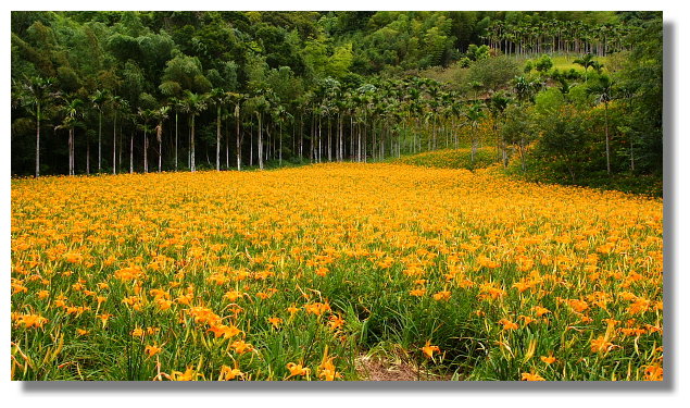 花蓮玉里赤科山