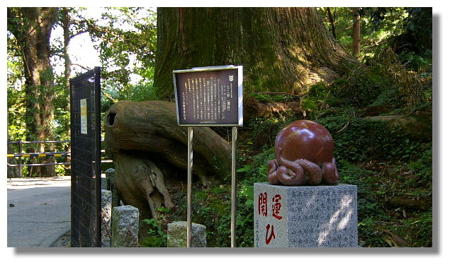 東京高尾山 東京高尾山