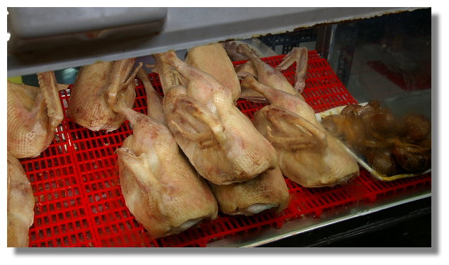 花蓮鵝肉先生 花蓮鵝肉先生