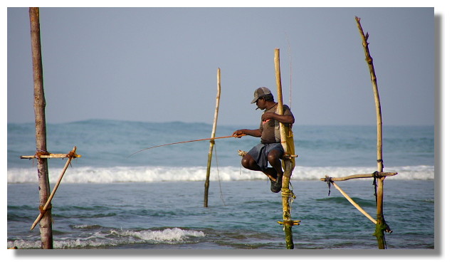 立釣(stilt fishing)