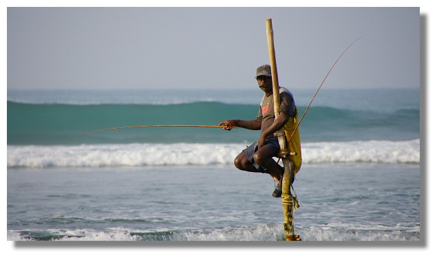 立釣(stilt fishing)