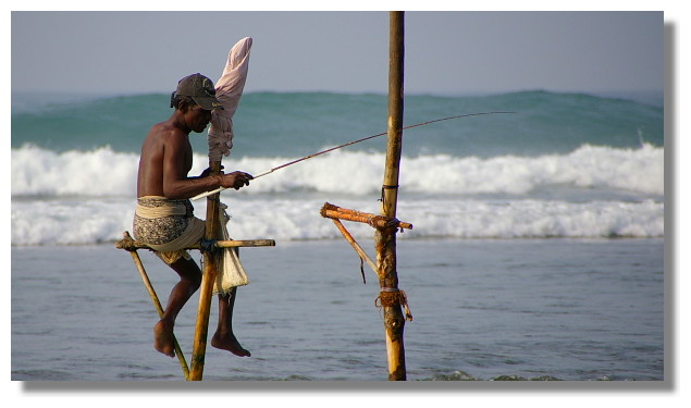 立釣(stilt fishing)