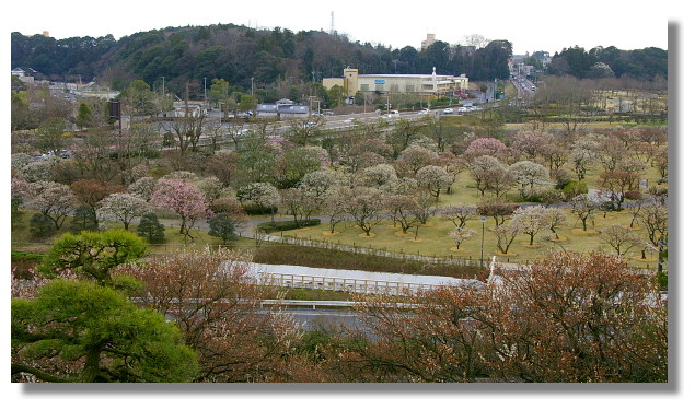 茨城縣水戶偕樂園 茨城縣水戶偕樂園