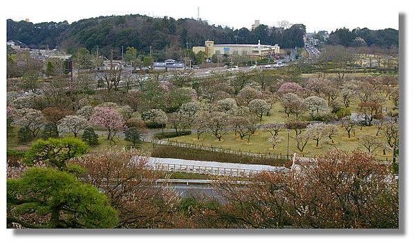 茨城縣水戶偕樂園