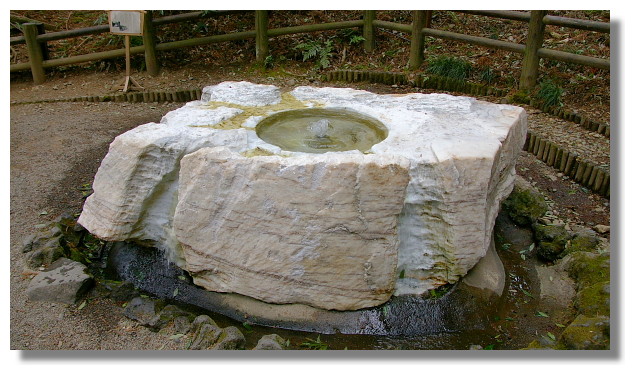 茨城縣水戶偕樂園 茨城縣水戶偕樂園