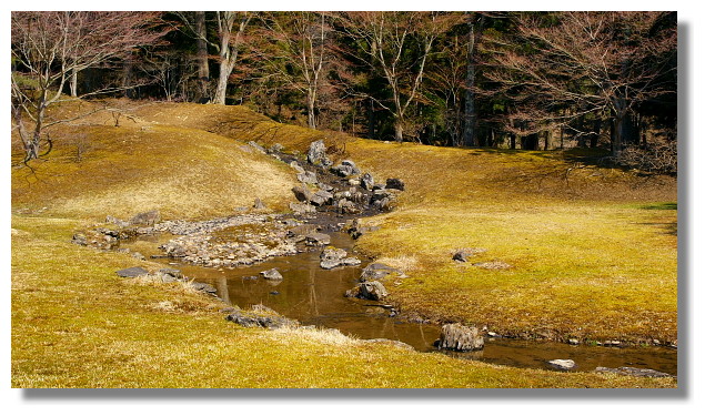 平泉毛越寺遣水 平泉毛越寺遣水