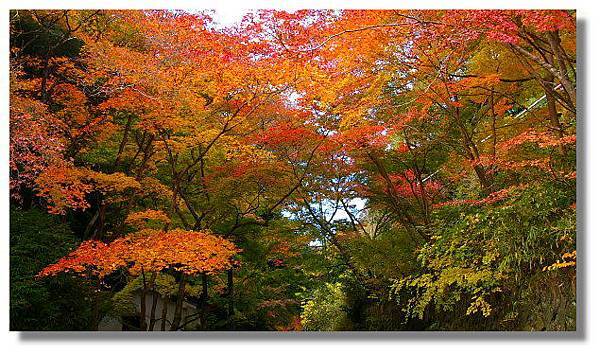 京都嵯峨鳥居本