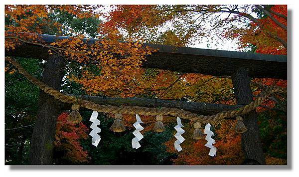 京都野宮神社