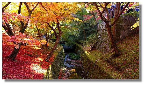 京都東福寺