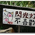 猴硐(侯硐)貓村