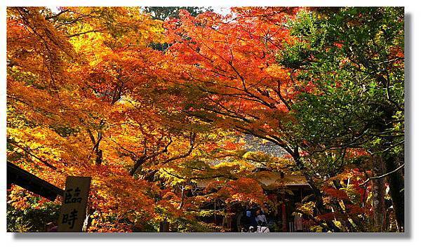 京都常寂光寺