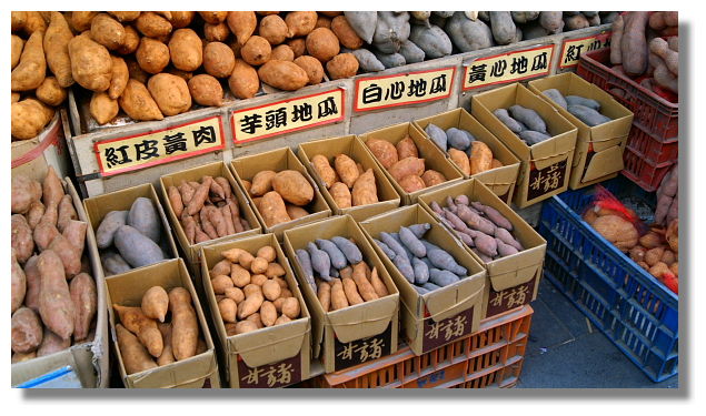 金山老街 金山老街