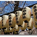 京都平野神社