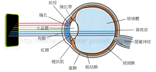 藍光穿透眼睛.png 藍光穿透眼睛.png