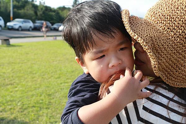 IMG_8293.JPG IMG_8293.JPG