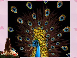 人體花 - 驚艷絕倫 人體花0.jpg 人體花 - 驚艷絕倫 人體花0.jpg