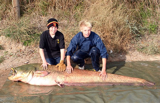 英國13歲男孩180斤巨大鯰魚3.jpg