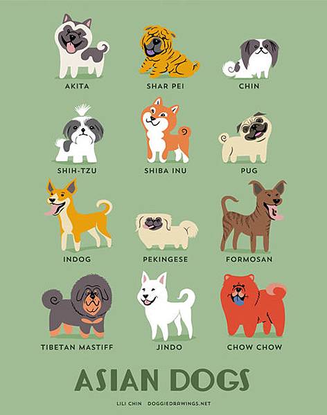 asian-dogs-illustration-by-lili-chin