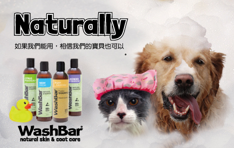 WashBar洗毛精BN2.jpg WashBar洗毛精BN2.jpg