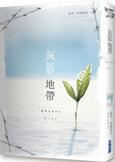 灰影地帶 灰影地帶