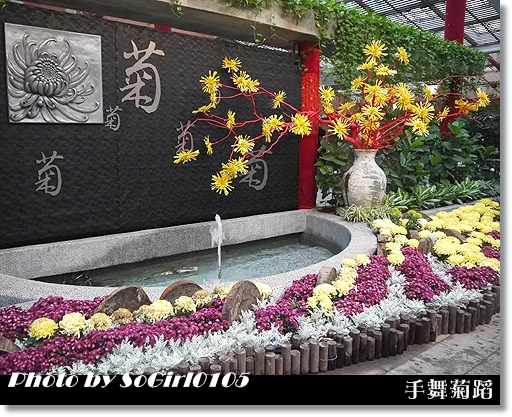 手舞菊蹈 手舞菊蹈