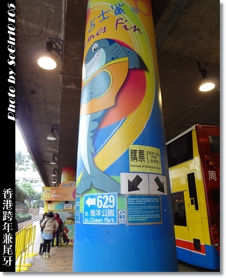 香港跨年兼尾牙 香港跨年兼尾牙