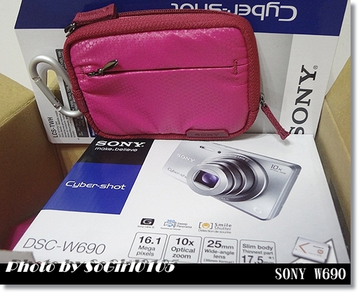 SONY W690