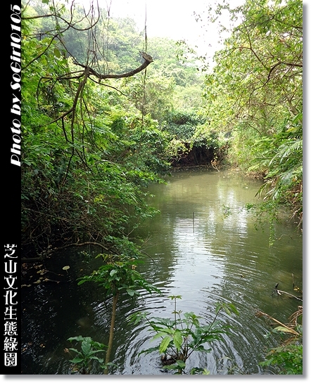 芝山文化生態綠園 芝山文化生態綠園