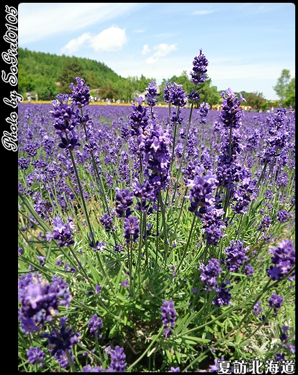 夏訪北海道