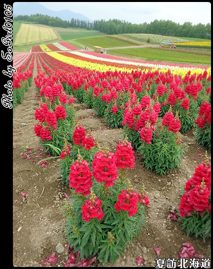 夏訪北海道