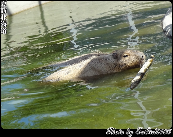 夏訪北海道