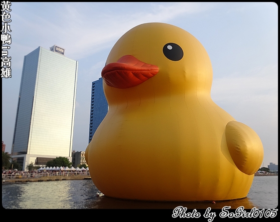 黃色小鴨in高雄 黃色小鴨in高雄