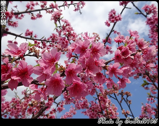 樂活公園