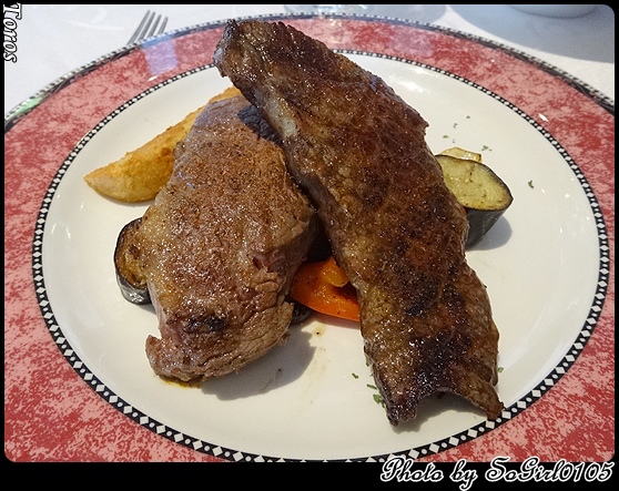 Toros Toros