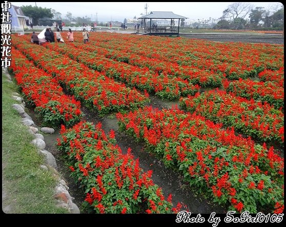 中社觀光花市