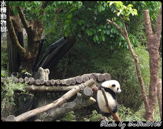 木柵動物園 木柵動物園