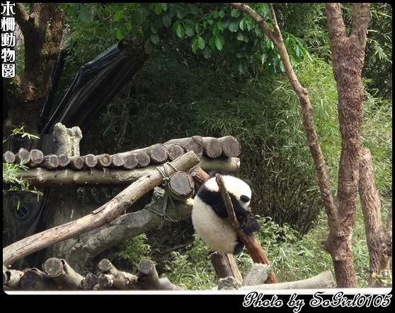 木柵動物園