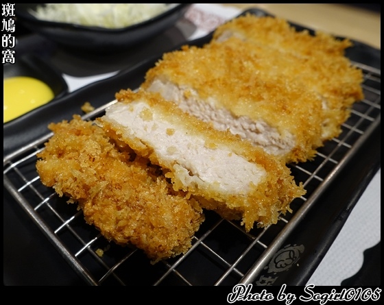 斑鳩的窩 斑鳩的窩