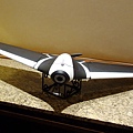 Parrot DISCO 00.jpg