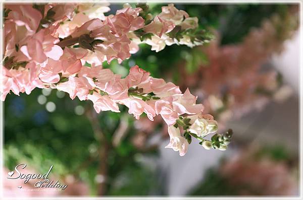 1020706綠光花園『清新浪漫風-粉白色』婚禮011.jpg