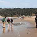 CANNON BEACH