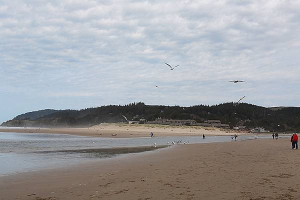 CANNON BEACH